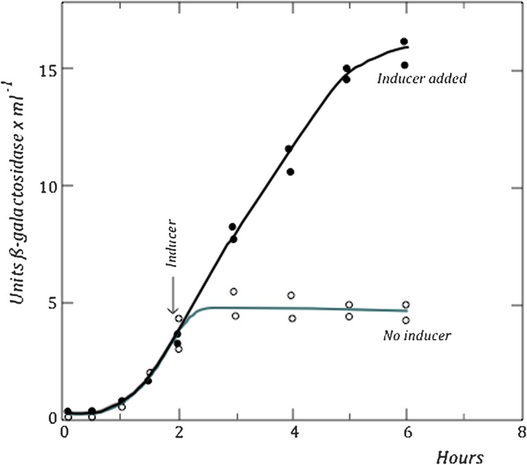 FIG. 5.—