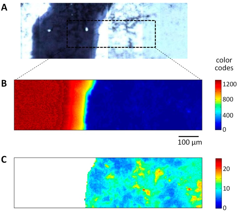 Figure 10