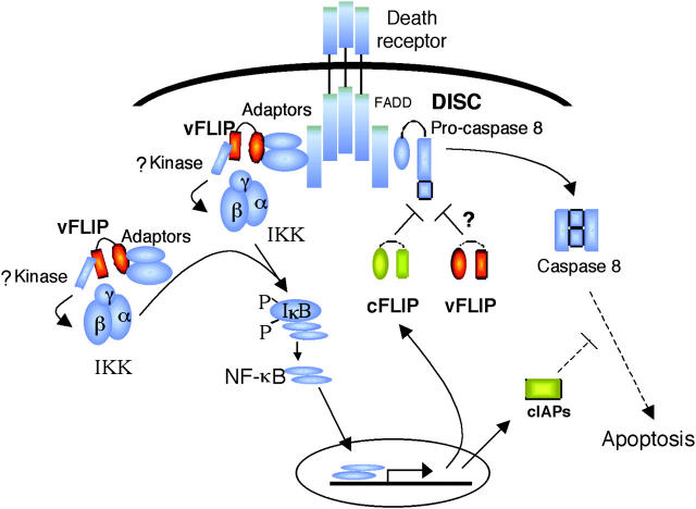 Figure 10.