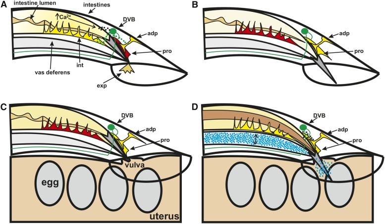 Figure 10