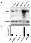 FIG. 1.