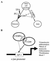 FIG. 9.