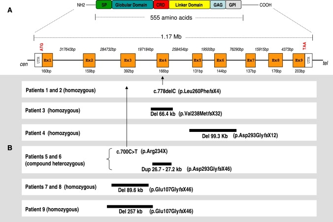 Figure 4