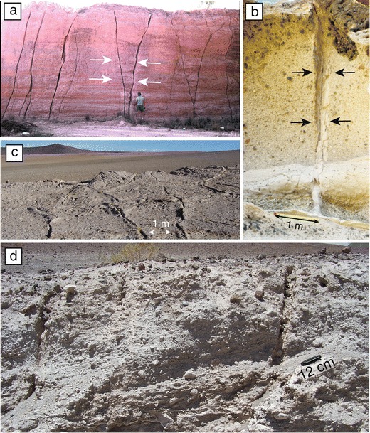 Fig. 15