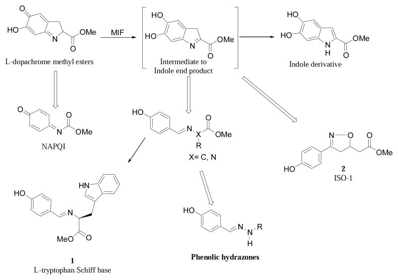 Scheme 1