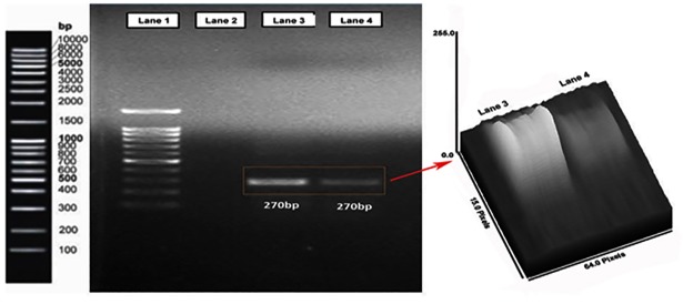 Fig 10