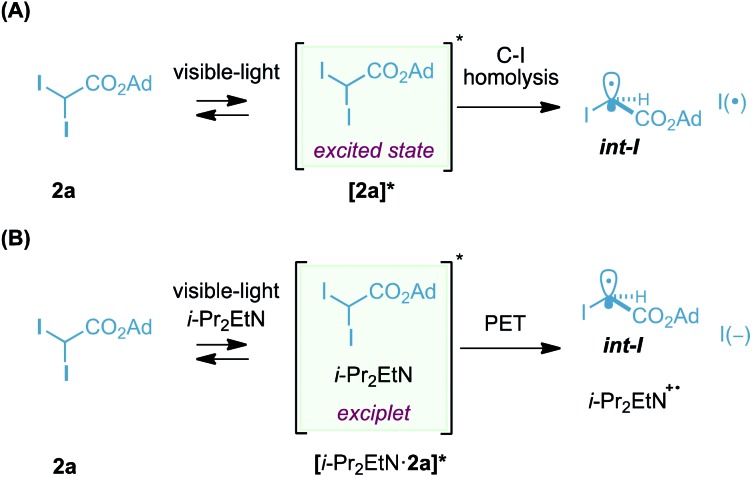 Scheme 4