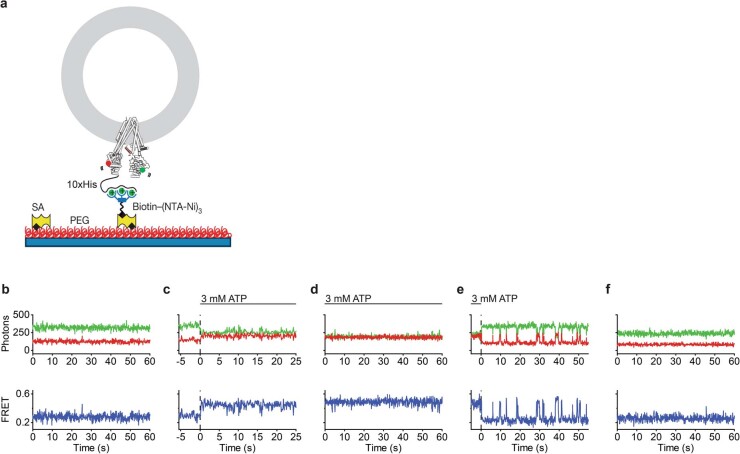 Extended Data Fig. 6