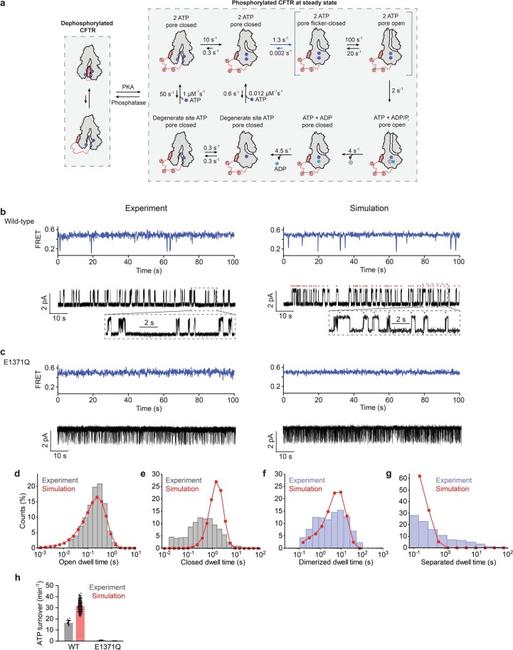 Extended Data Fig. 10