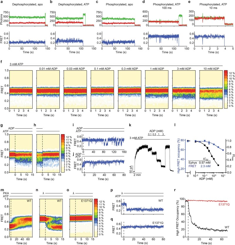 Extended Data Fig. 3