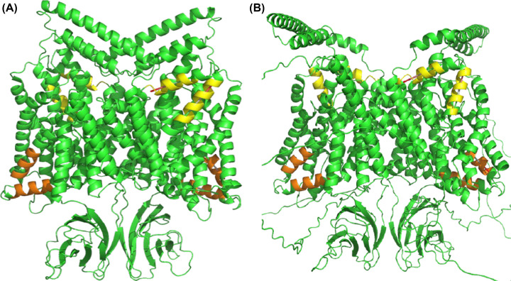 Figure 10