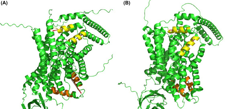 Figure 9