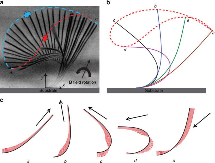 Fig. 2