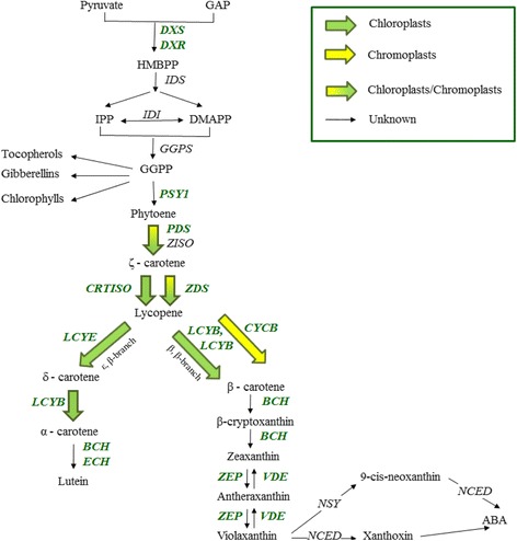 Fig. 1