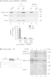 FIG 6