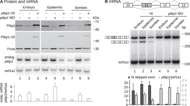 FIG 4