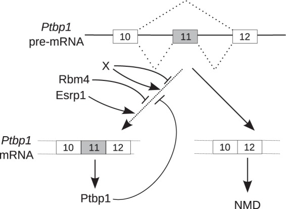 FIG 7