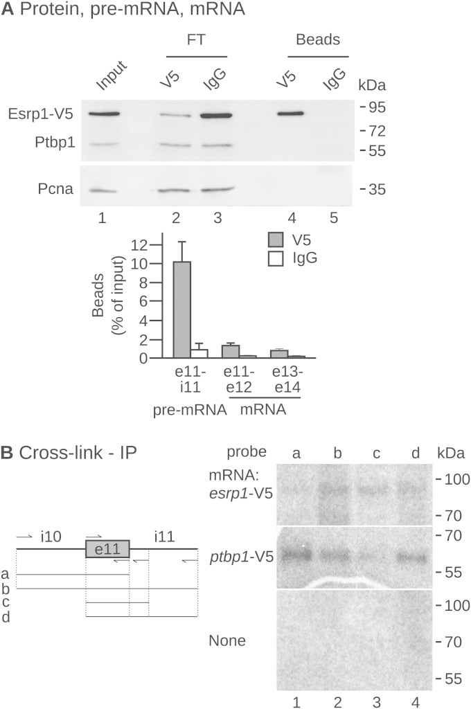 FIG 6