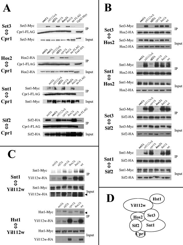 FIG. 6.