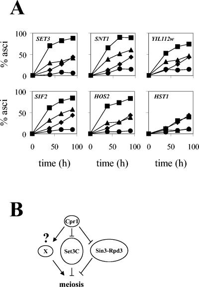 FIG. 7.