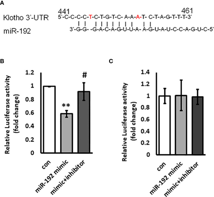 Figure 5