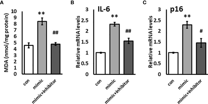 Figure 4