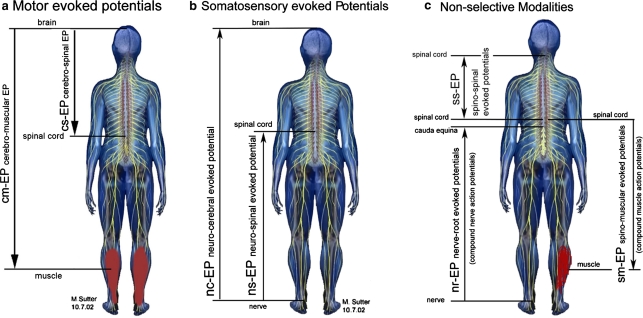 Fig. 1