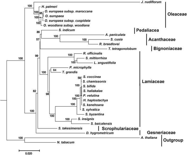 FIGURE 4