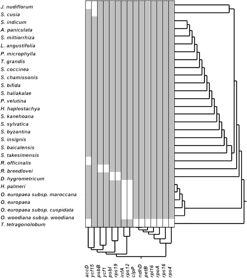 FIGURE 2