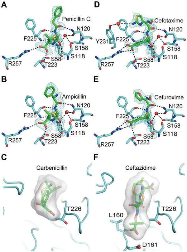 FIG 4