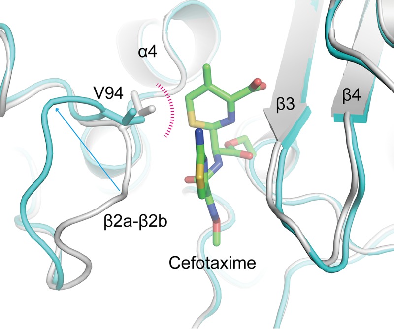 FIG 3