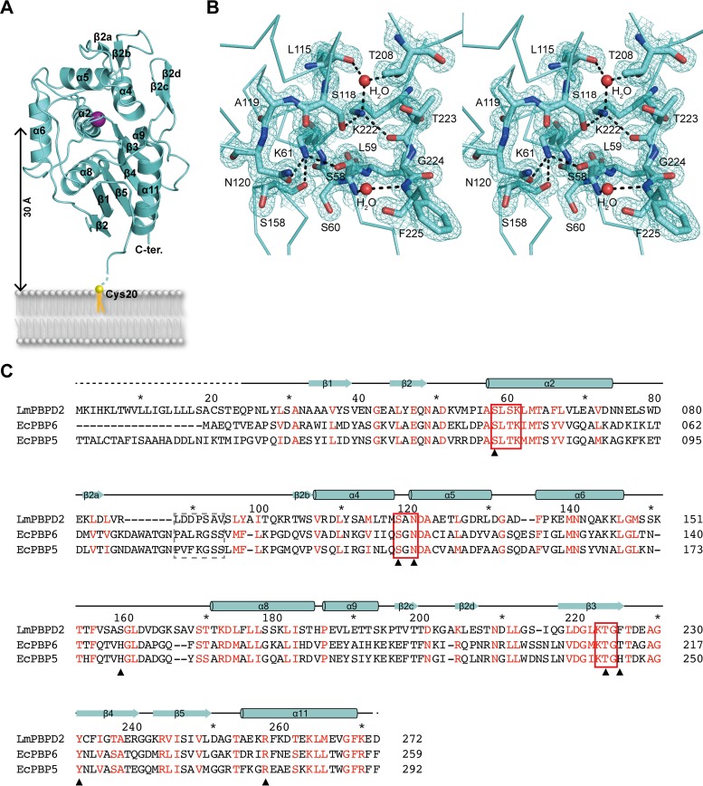 FIG 2