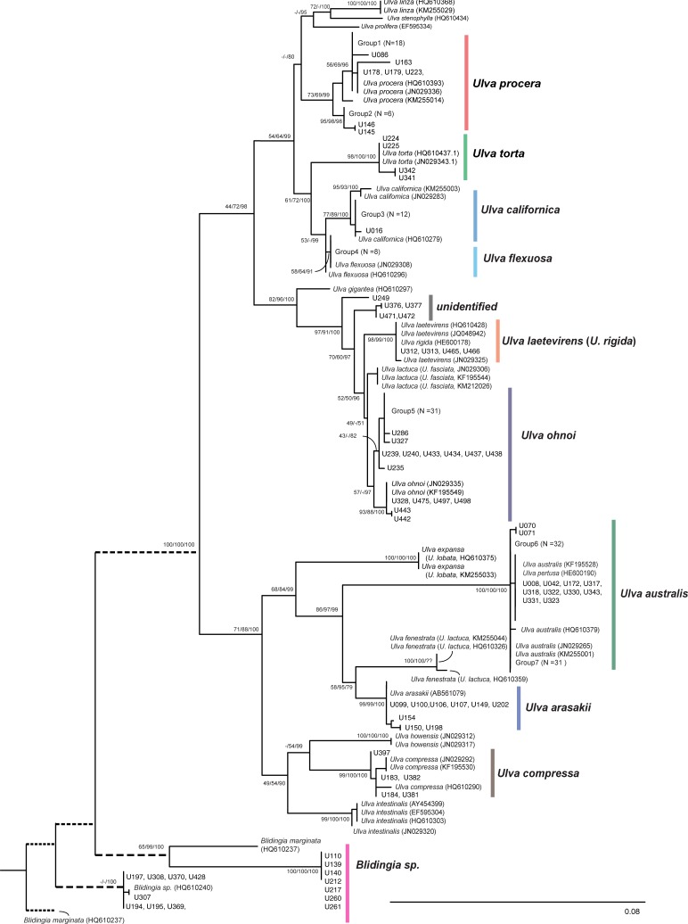 Fig 3