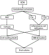 Figure 5:
