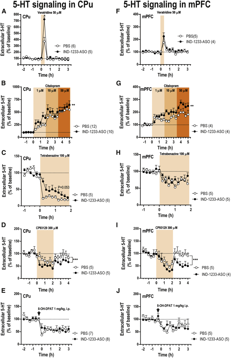 Figure 6