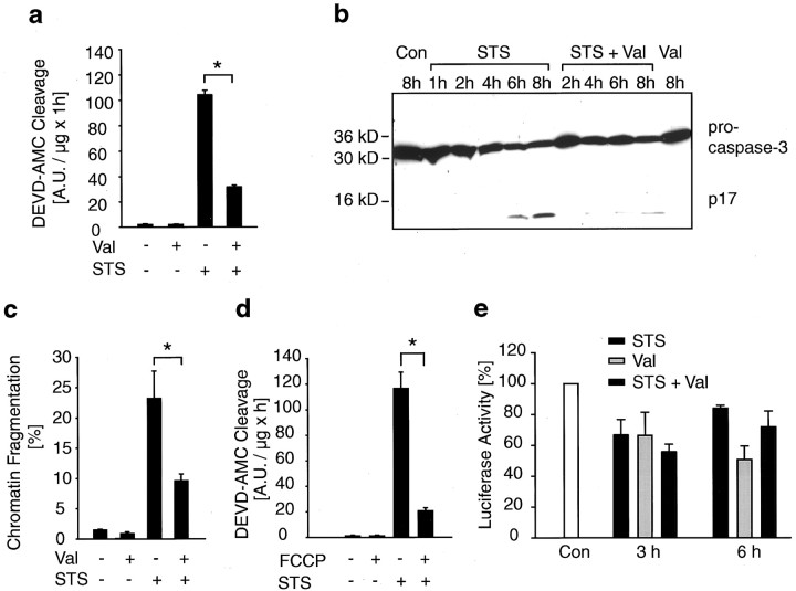 Fig. 10.