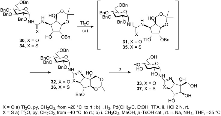 Scheme 3