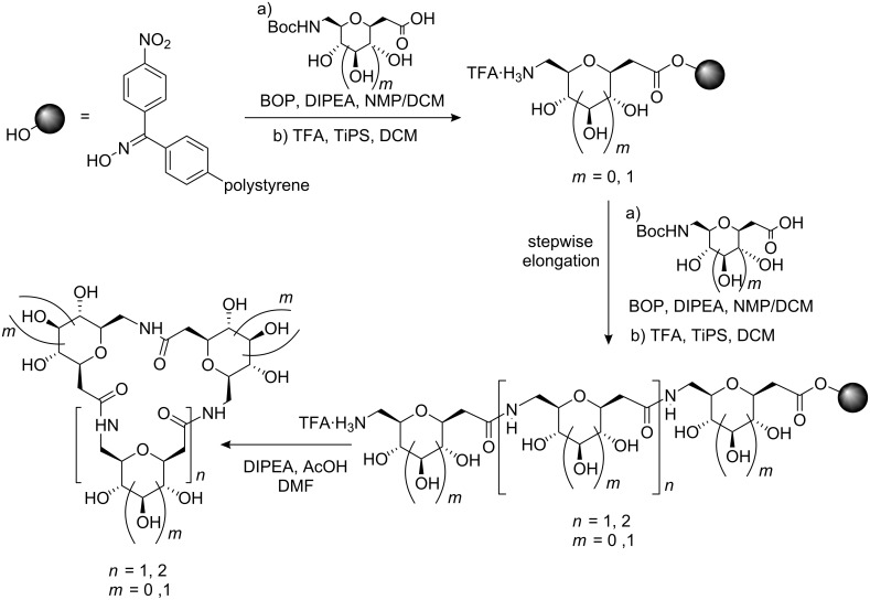 Scheme 2