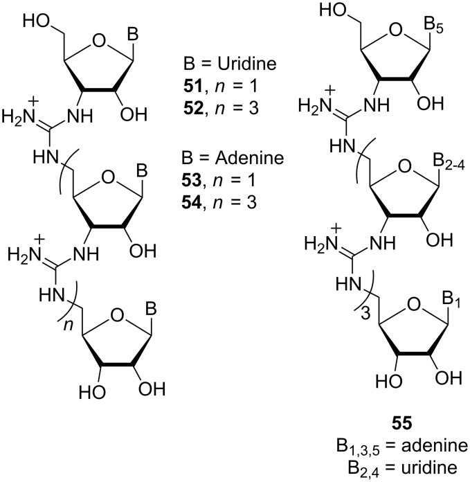 Figure 23