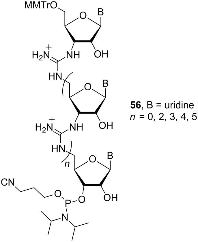 Figure 24