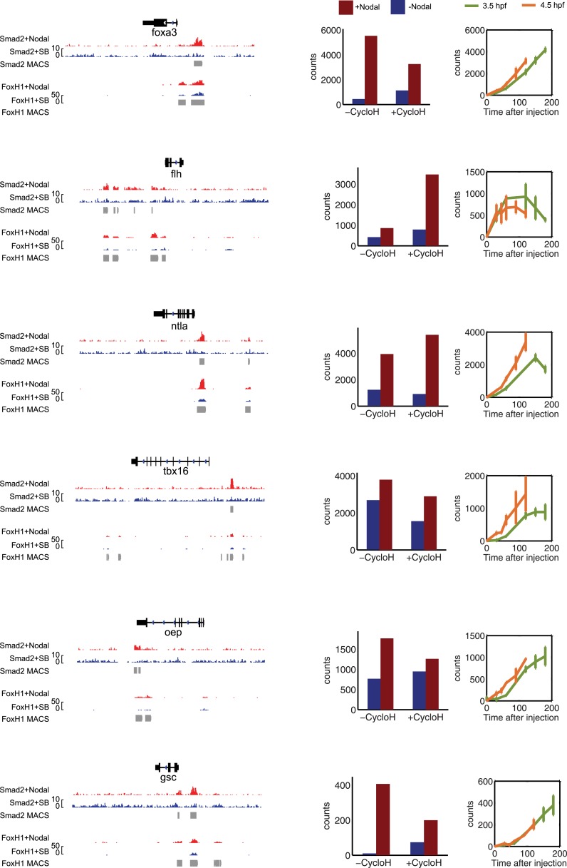 Figure 5—figure supplement 1.