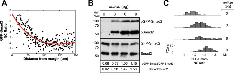 Figure 2—figure supplement 1.