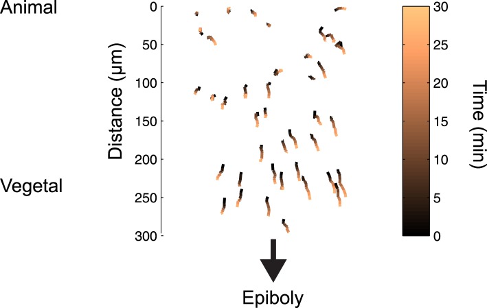 Figure 2—figure supplement 2.