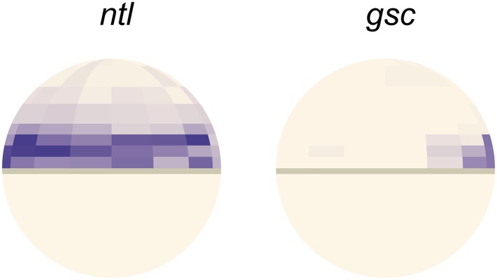 Figure 2—figure supplement 4.