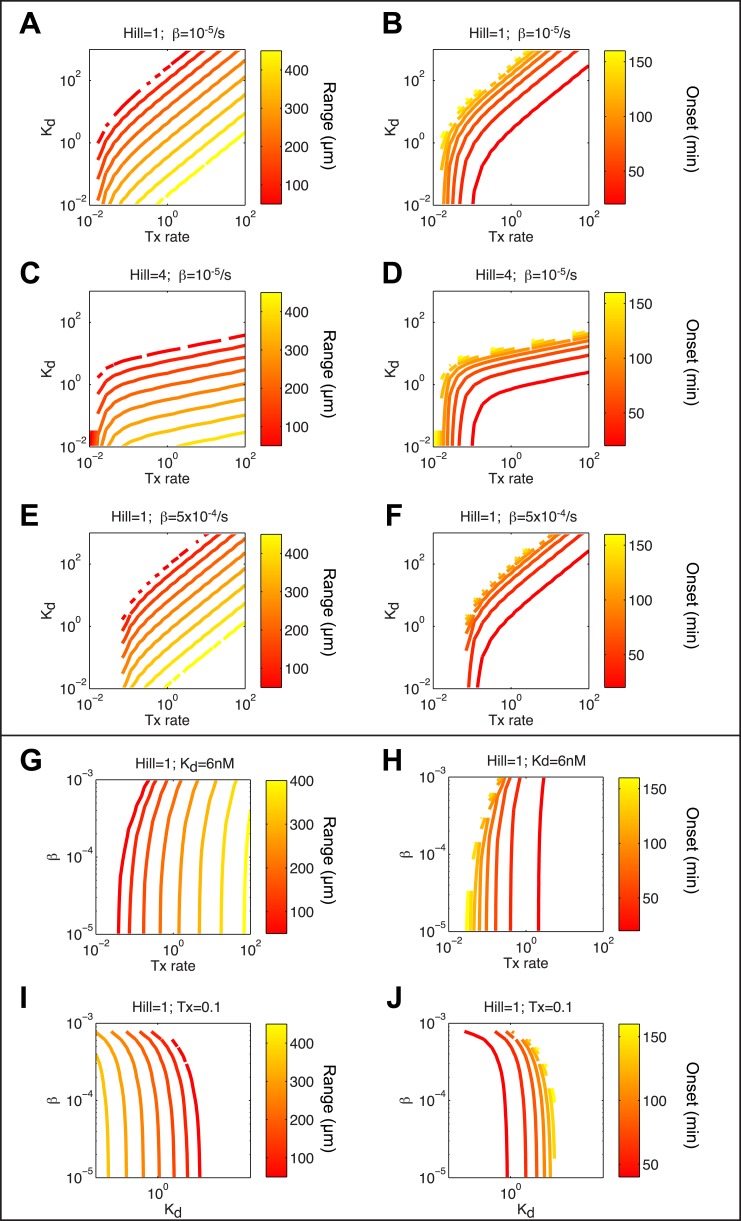 Figure 4—figure supplement 1.