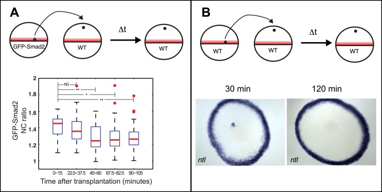 Figure 3—figure supplement 2.