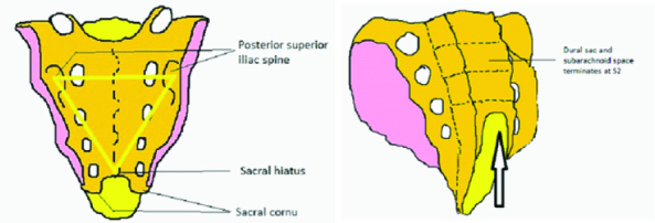 [Table/Fig-1a,b]: