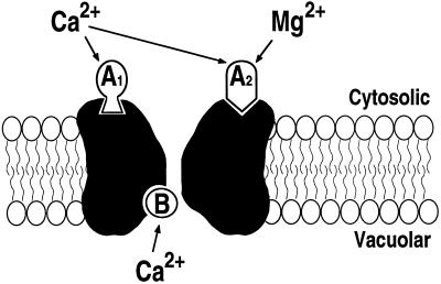 Figure 8