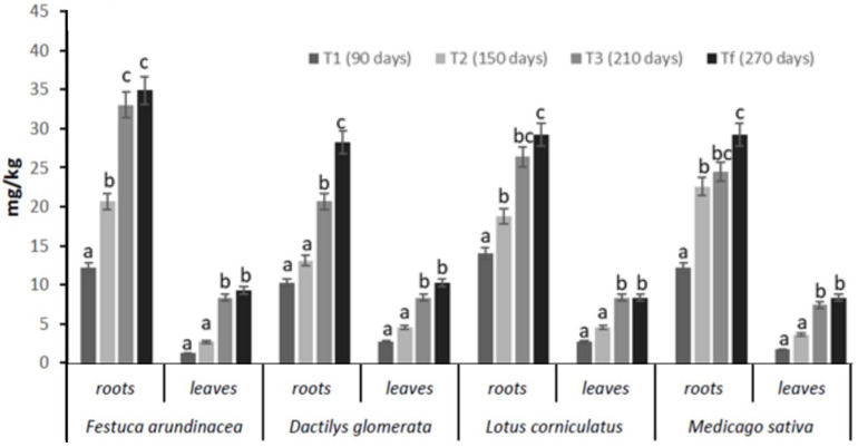 FIGURE 3