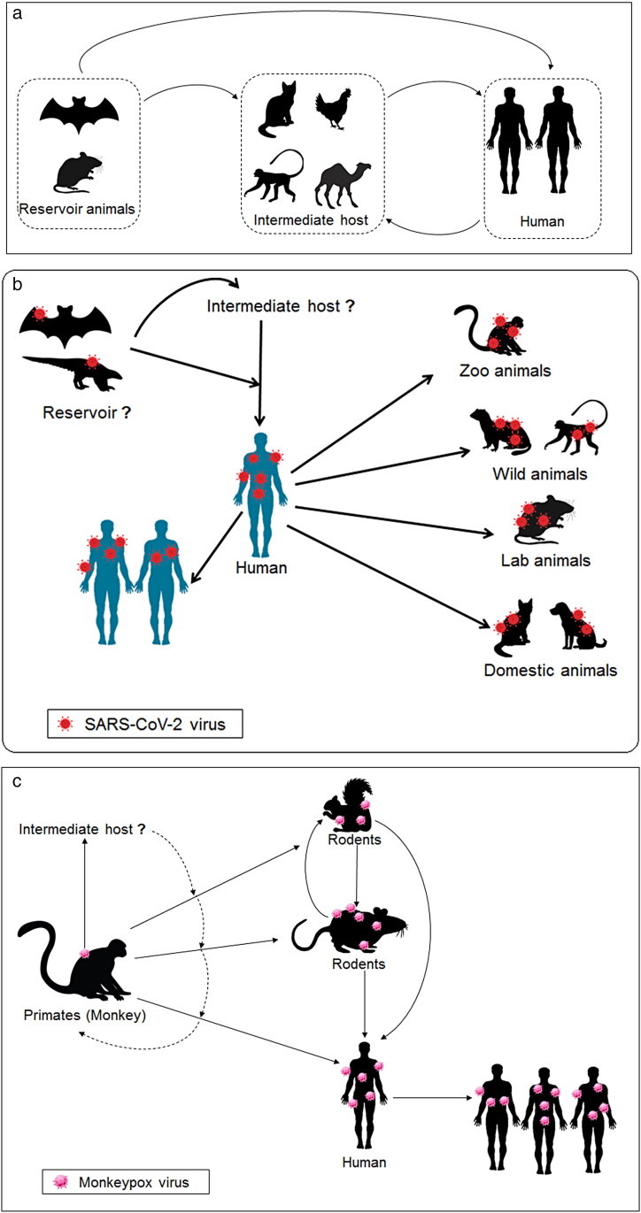 Figure 1.